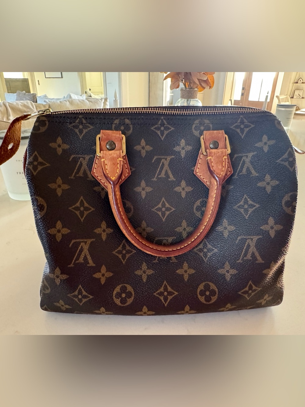 Louis Vuitton Monogram Speedy30
